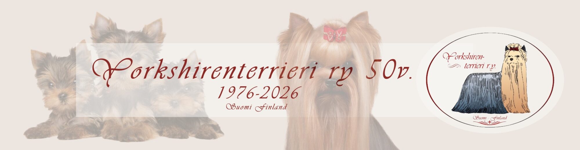 Yorkshirenterrieri ry